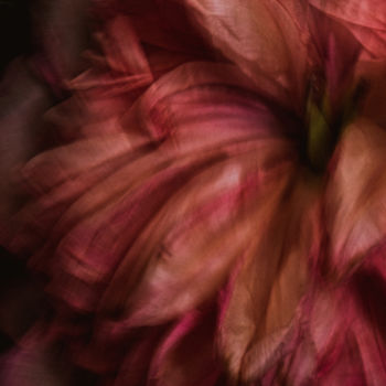 Photographie intitulée "PEONY" par Yana Yushkevich, Œuvre d'art originale, Photographie numérique