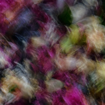 Photography titled "ABSTRACT FLORAL" by Yana Yushkevich, Original Artwork, Digital Photography