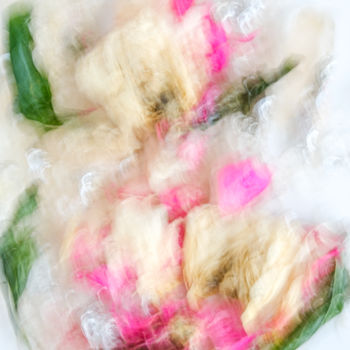 Photography titled "WHITE ROSES" by Yana Yushkevich, Original Artwork, Digital Photography