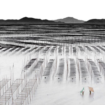 제목이 "Mudflats Of Xiapu #3"인 사진 Yancho Sabev로, 원작, 디지털 알루미늄에 장착됨