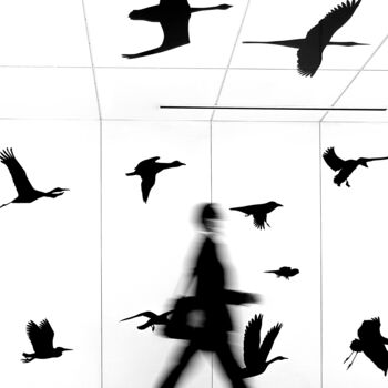 Photography titled "Fly With Us #1" by Yancho Sabev, Original Artwork, Digital Photography Mounted on Aluminium