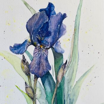Painting titled "Iris 2" by Yanina Kalinichenko, Original Artwork, Watercolor