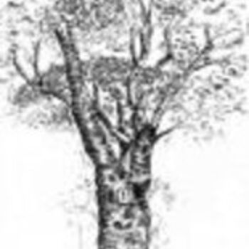 Dessin intitulée "arbre" par Art-Is, Œuvre d'art originale