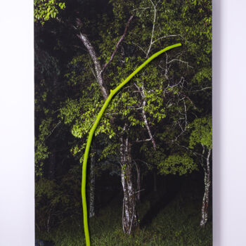 Fotografia zatytułowany „REAL 03” autorstwa Yasuo Kiyonaga, Oryginalna praca, Fotografia cyfrowa Zamontowany na Panel drewni…