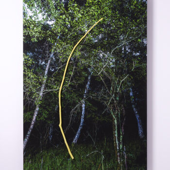 Photographie intitulée "REAL05" par Yasuo Kiyonaga, Œuvre d'art originale, Photographie numérique Monté sur Panneau de bois