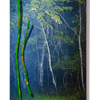 Fotografie mit dem Titel "REAL 10" von Yasuo Kiyonaga, Original-Kunstwerk, Digitale Fotografie Auf Holzplatte montiert