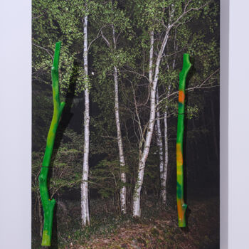Fotografía titulada "Real13" por Yasuo Kiyonaga, Obra de arte original, Fotografía digital Montado en Panel de madera