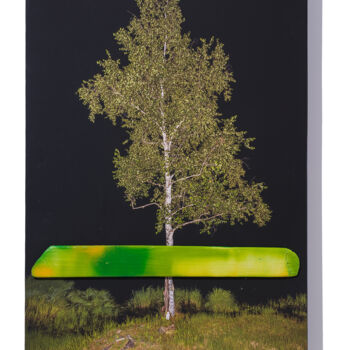 Photographie intitulée "Real_14" par Yasuo Kiyonaga, Œuvre d'art originale, Photographie numérique Monté sur Panneau de bois