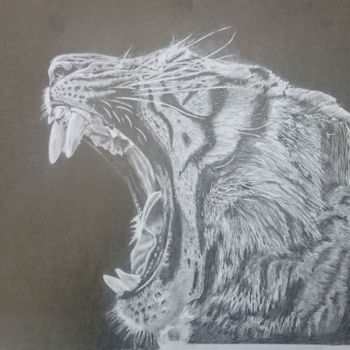 Disegno intitolato "Tigre" da Dessinludo, Opera d'arte originale, Grafite