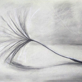 Рисунок под названием "Fluff" - Yelena Rybalkina, Подлинное произведение искусства, Древесный уголь