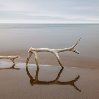 Photography titled "Dreams by the sea" by Evgenii Tabalykin, Original Artwork, Non Manipulated Photography