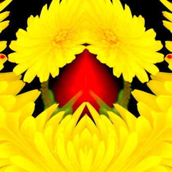 Digital Arts titled "Flowers of Life" by Yolidimages, Original Artwork, 2D Digital Work