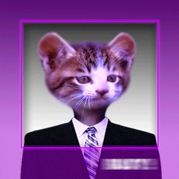 Arte digitale intitolato "Cat.gif" da R K, Opera d'arte originale