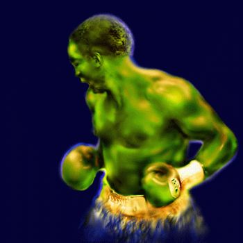 Grafika cyfrowa / sztuka generowana cyfrowo zatytułowany „Boxer.gif” autorstwa R K, Oryginalna praca