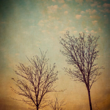 Photographie intitulée "Two Trees" par Yasmine Rafii, Œuvre d'art originale, Photographie manipulée