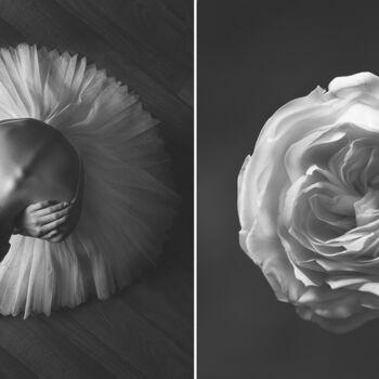 Fotografia intitulada "Rose / Роза" por Iuliia Artemeva, Obras de arte originais, Fotografia digital