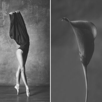 Фотография под названием "Calla / Калла" - Юлия Артемьева, Подлинное произведение искусства, Цифровая фотография