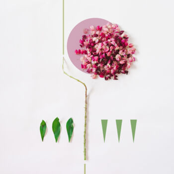 Photographie intitulée "Lupine" par Iuliia Artemeva, Œuvre d'art originale, Photographie numérique