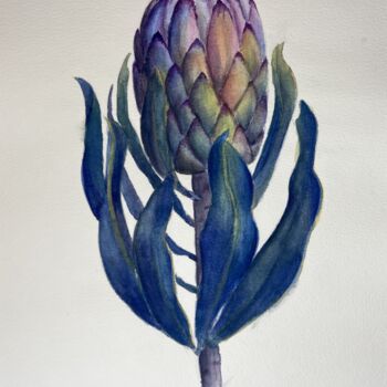 Painting titled "Protea" by Yulia Risevets, Original Artwork, Watercolor
