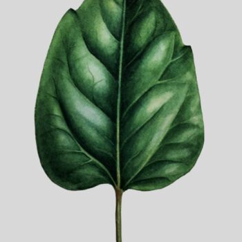 Картина под названием "Hibiscus leaf" - Yulia Zhevnova, Подлинное произведение искусства, Акварель