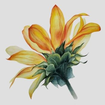 Peinture intitulée "Sunflower flower" par Yulia Zhevnova, Œuvre d'art originale, Aquarelle