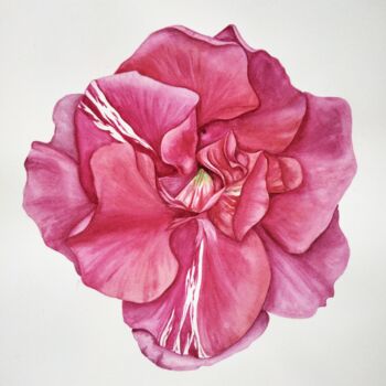 Malarstwo zatytułowany „Oleander” autorstwa Yulia Zhevnova, Oryginalna praca, Akwarela
