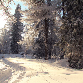 Fotografia intitulada "winter forest.jpg" por Yulia Mikushina, Obras de arte originais