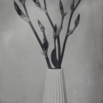 Photographie intitulée "Iris" par Yvan Helliot, Œuvre d'art originale, Photographie argentique