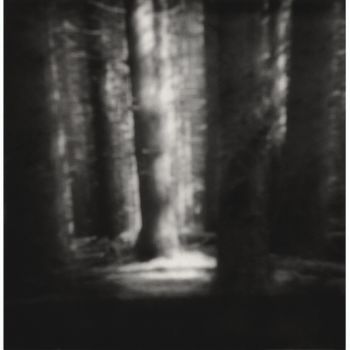 Photography titled "EXPOLAROID 2" by Yves Lavallette, Original Artwork, Non Manipulated Photography Mounted on Cardboard