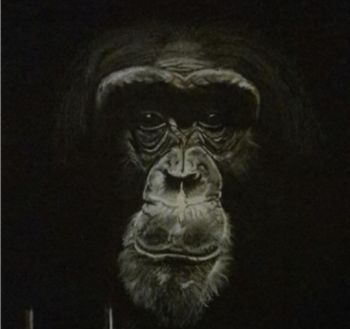 Dibujo titulada "Bonobo" por Yves Koehl, Obra de arte original, Pastel