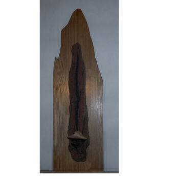 Sculpture titled "plaque-deco-aa.jpg" by Yves Recorbet, Original Artwork, Wood