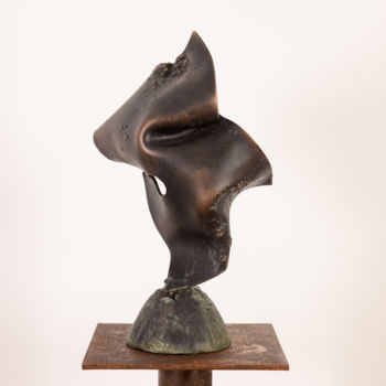 Sculpture titled "Fascination" by Antonio Zamariola, Original Artwork, Metals