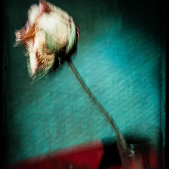 「flower」というタイトルの写真撮影 Yevgenia Bazanovaによって, オリジナルのアートワーク, デジタル