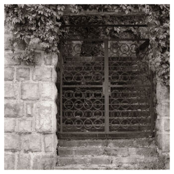 Photography titled "Forged Gate" by Zheka Khalétsky, Original Artwork, Non Manipulated Photography