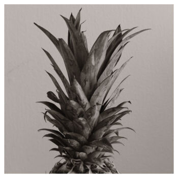Photography titled "Plant Study (Ananas…" by Zheka Khalétsky, Original Artwork, Non Manipulated Photography