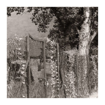 Photographie intitulée "Rickety Fence" par Zheka Khalétsky, Œuvre d'art originale, Photographie non manipulée