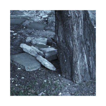 「Stones and Tree」というタイトルの写真撮影 Zheka Khalétskyによって, オリジナルのアートワーク, 操作されていない写真