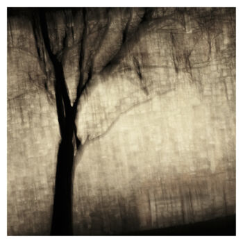 Fotografía titulada "Tree II (Dream of 2…" por Zheka Khalétsky, Obra de arte original, Fotografía no manipulada