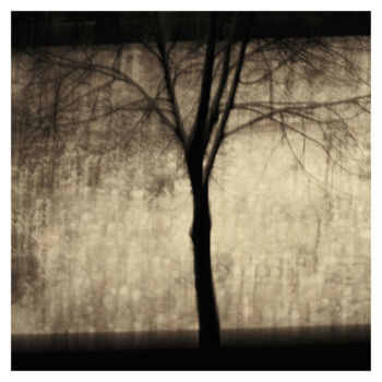 Photography titled "Tree V (Dream of 25…" by Zheka Khalétsky, Original Artwork, Non Manipulated Photography
