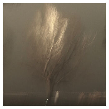Photography titled "Tree (Dream of 28.X…" by Zheka Khalétsky, Original Artwork, Non Manipulated Photography