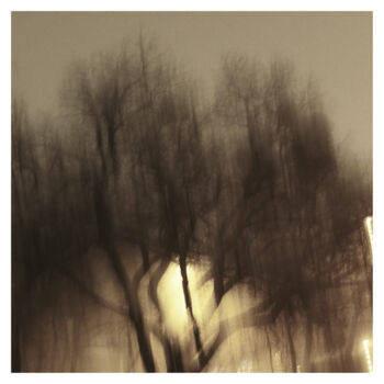 Photography titled "Tree IV (Dream of 2…" by Zheka Khalétsky, Original Artwork, Non Manipulated Photography