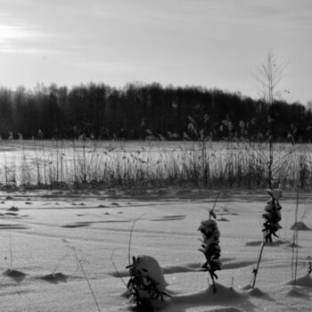 Fotografie getiteld "frost" door Zhenya Kraynova (J.K), Origineel Kunstwerk