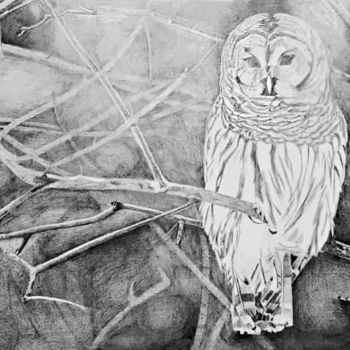 Painting titled "Owl painting" by Zieh Mazinani, Original Artwork, Pencil