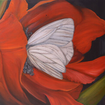 Painting titled "Poppy and White But…" by Zita Barbara Sanders, Original Artwork, Oil