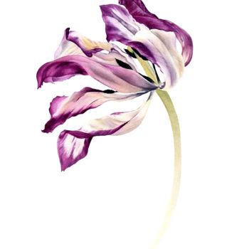 Peinture intitulée "Dancing Tulip" par Maria Yılmaz, Œuvre d'art originale, Aquarelle