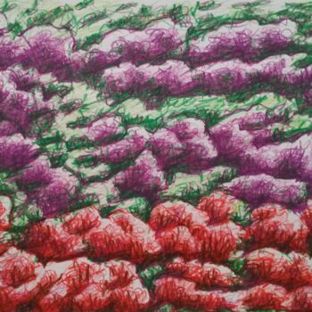 Drawing titled "Grass carpet II" by Zory, Original Artwork, Pencil
