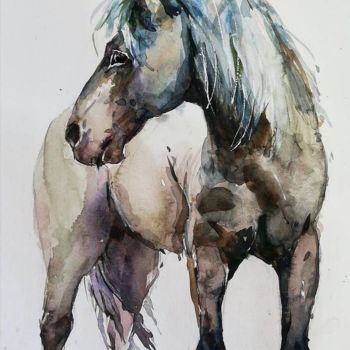 Peinture intitulée "the horse" par Zeynep Şeyma, Œuvre d'art originale, Aquarelle Monté sur artwork_cat.