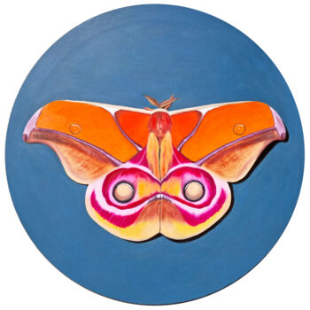 Schilderij getiteld "Suraka silk moth (s…" door Zulfiya Mukhamadeyeva, Origineel Kunstwerk, Olie Gemonteerd op Frame voor ho…