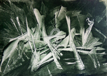 Estampas & grabados titulada "ocarrillo-enraisami…" por Ocarrillo, Obra de arte original