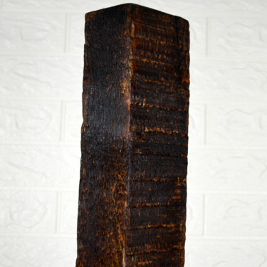 Скульптура под названием "Burn wood" - Vasil Krastanov, Подлинное произведение искусства, Дерево